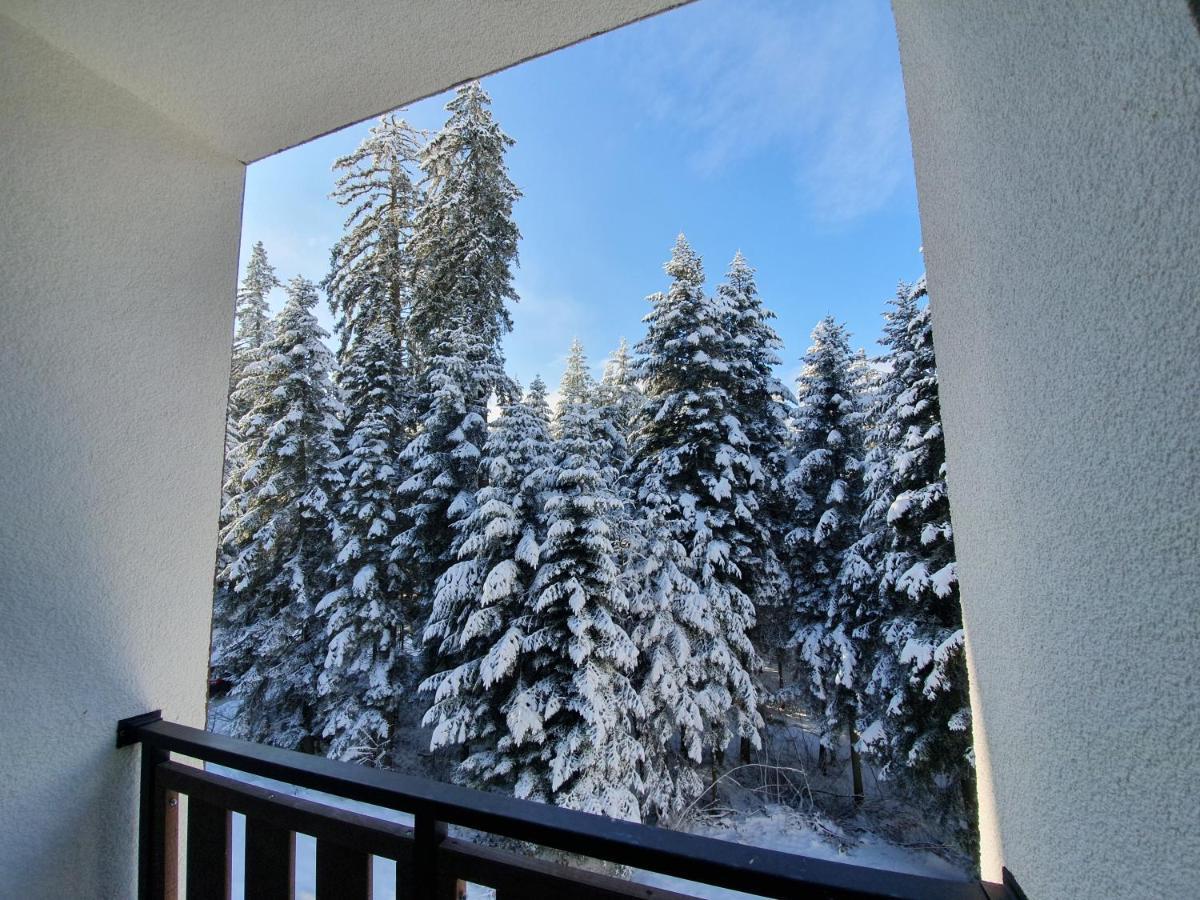 Pinewood Ang Luxurious Apartment A43, Borovets Gardens Eksteriør bilde