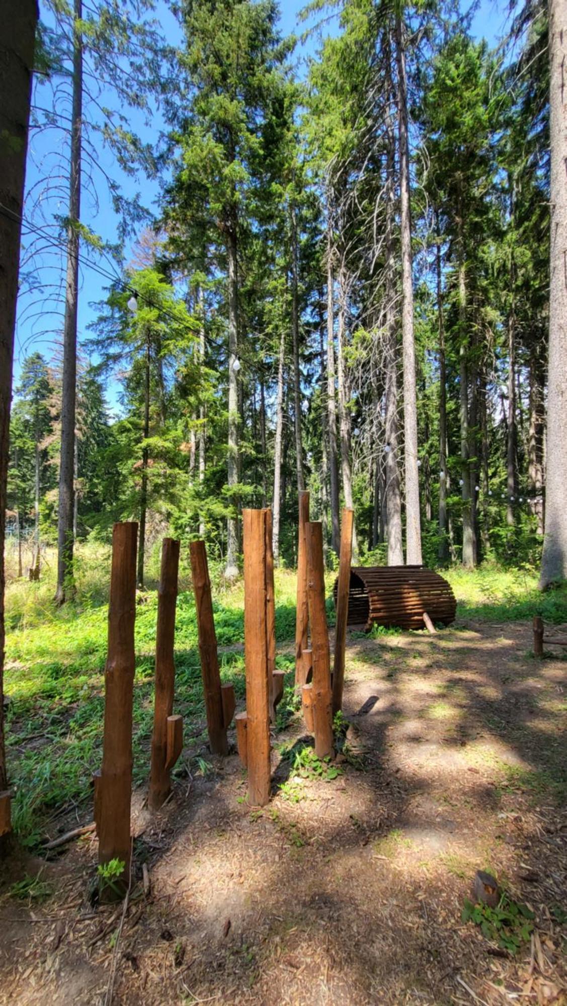 Pinewood Ang Luxurious Apartment A43, Borovets Gardens Eksteriør bilde