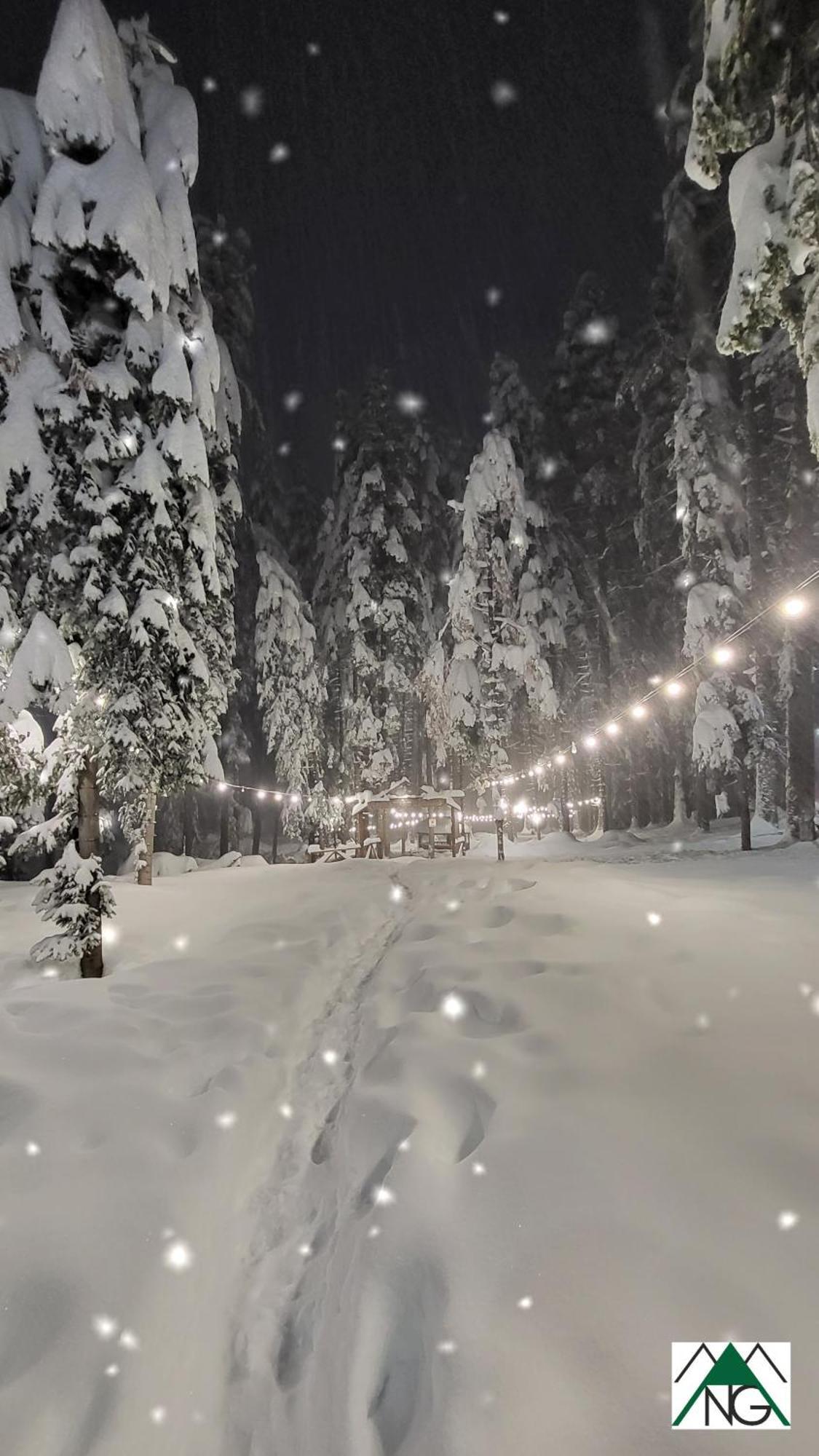 Pinewood Ang Luxurious Apartment A43, Borovets Gardens Eksteriør bilde